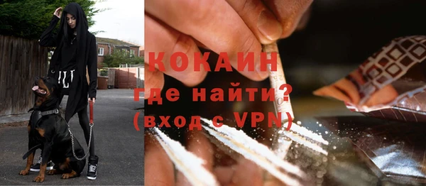 прущие грибы Абдулино