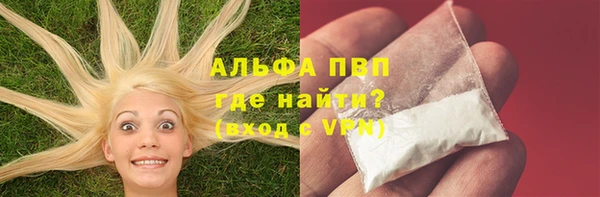 прущие грибы Абдулино