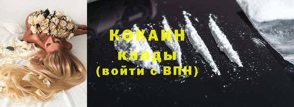 прущие грибы Абдулино