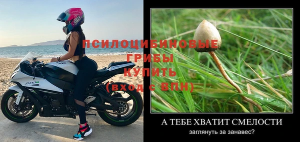 MDMA Premium VHQ Абаза