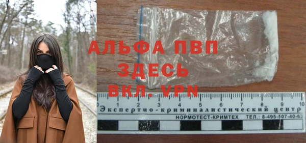 прущие грибы Абдулино