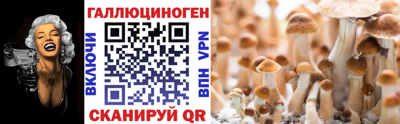 Псилоцибиновые грибы Cubensis  сайты даркнета состав  Чебаркуль 
